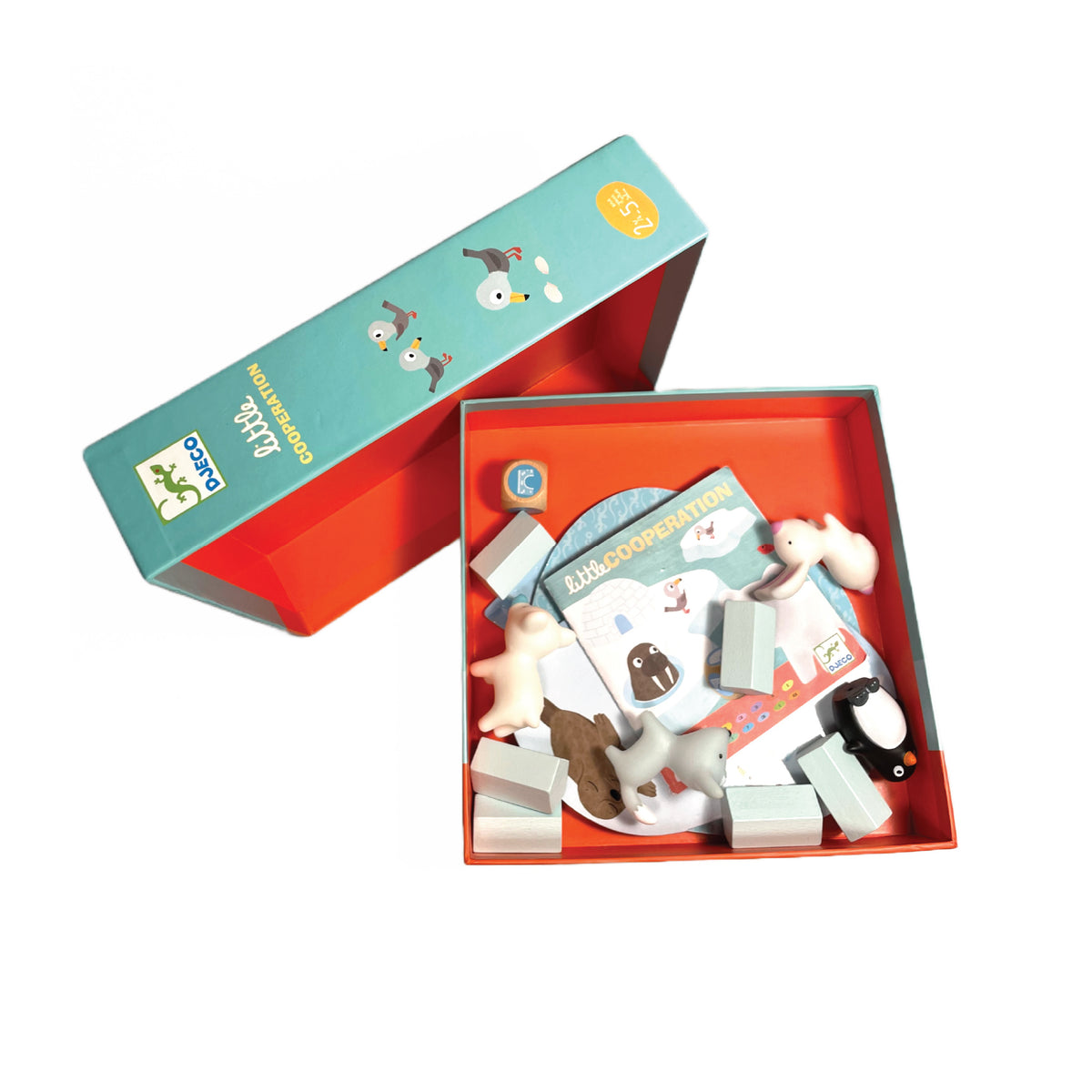 DJECO Little Cooperation