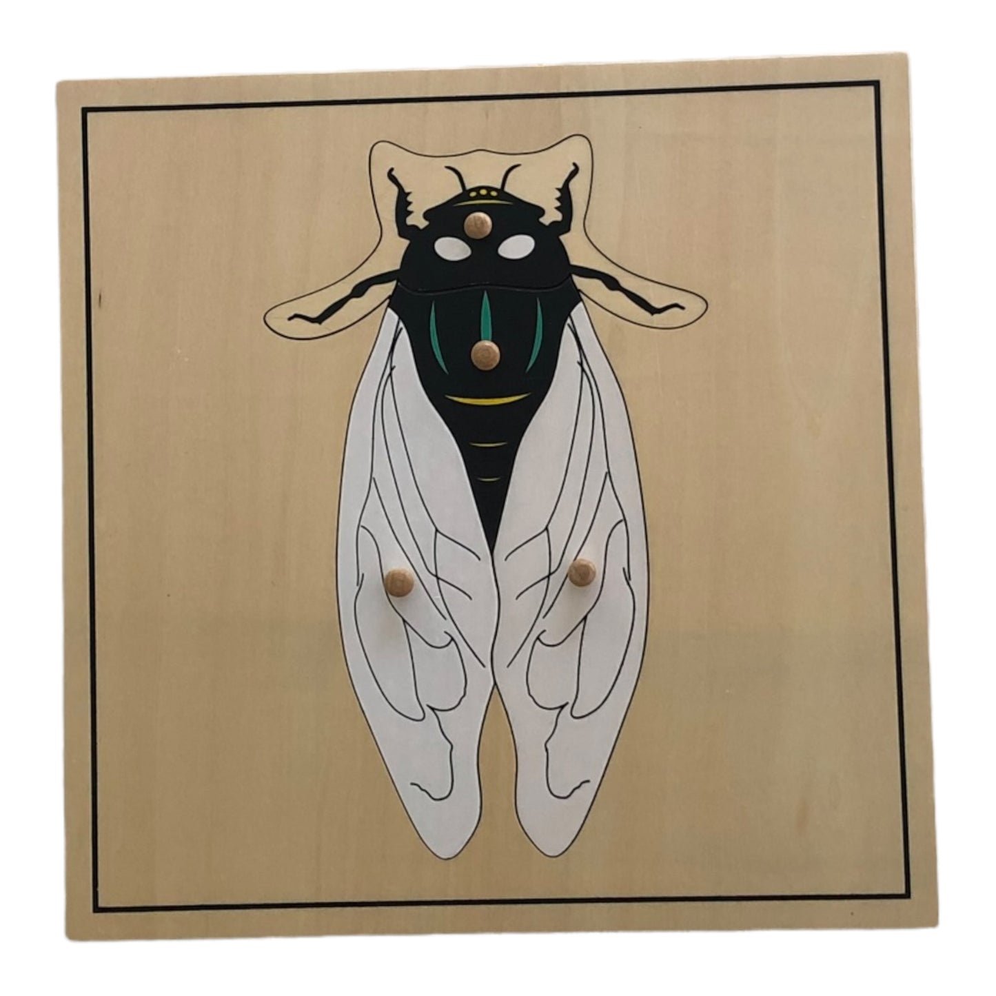 Wooden puzzle - The fly puzzle - Montessori