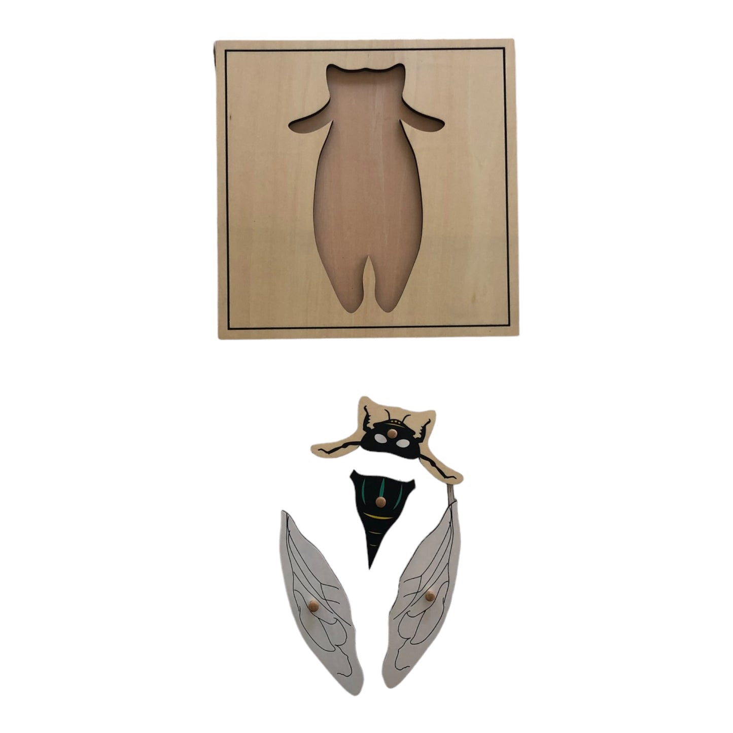 Wooden puzzle - The fly puzzle - Montessori