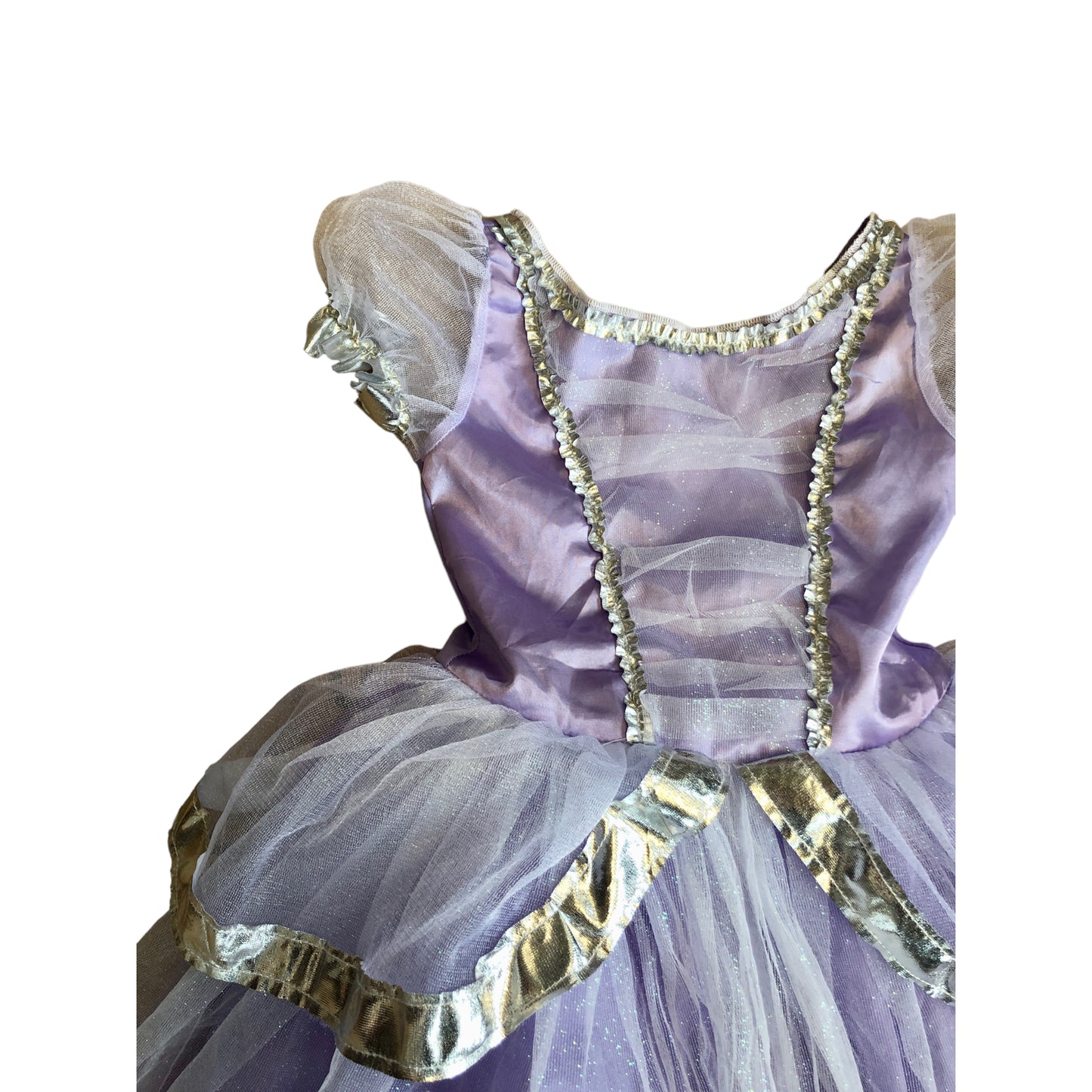 Purple Princess Dress (3/4 years old)