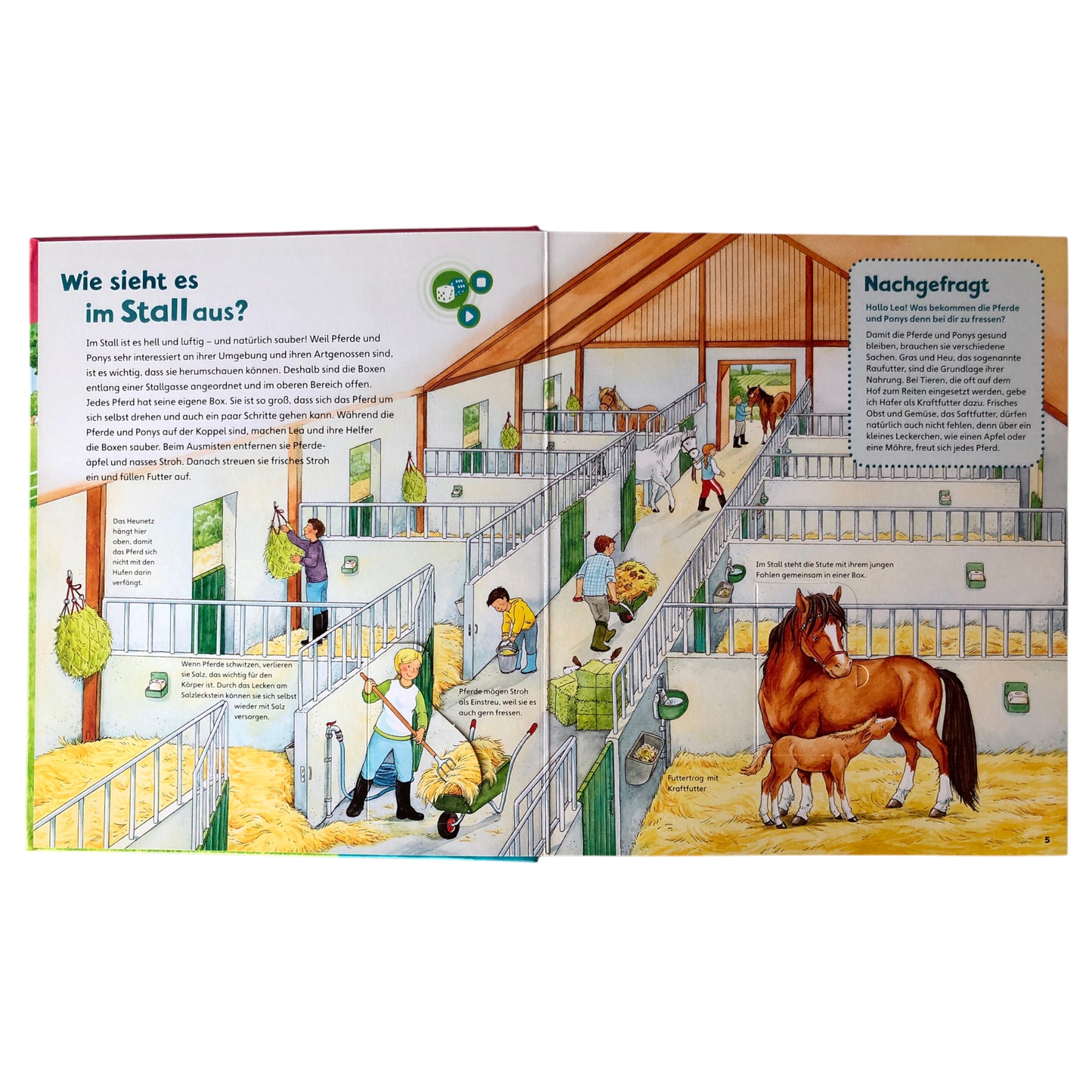 BOOKii Der Hörstift - Starter Set mit "Komm mit zu den Pferden und Ponys"